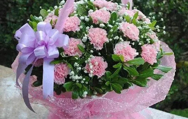 u=3131514065,2408389607&fm=253&fmt=auto&app=138&f=JPEG.webp.jpg