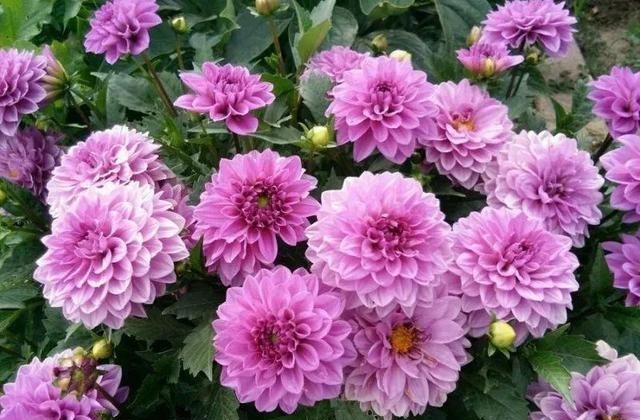 u=3118203754,2090408375&fm=253&fmt=auto&app=138&f=PNG.webp.jpg