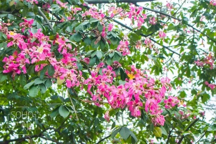 u=962779111,3543951540&fm=253&fmt=auto&app=138&f=JPEG.webp.jpg