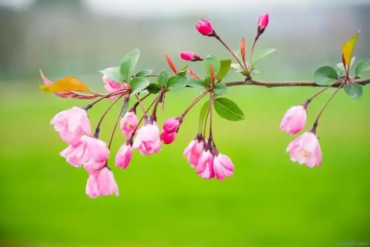 u=595565919,3869134761&fm=253&fmt=auto&app=138&f=JPEG.webp.jpg