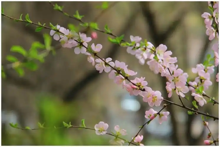 u=1470635628,4056772782&fm=253&fmt=auto&app=138&f=JPEG.webp.jpg