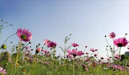 u=2435881362,1453825045&fm=253&fmt=auto&app=138&f=JPEG.webp.jpg