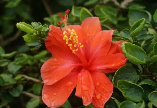 u=3695141593,158892111&fm=253&fmt=auto&app=138&f=JPEG.webp.jpg