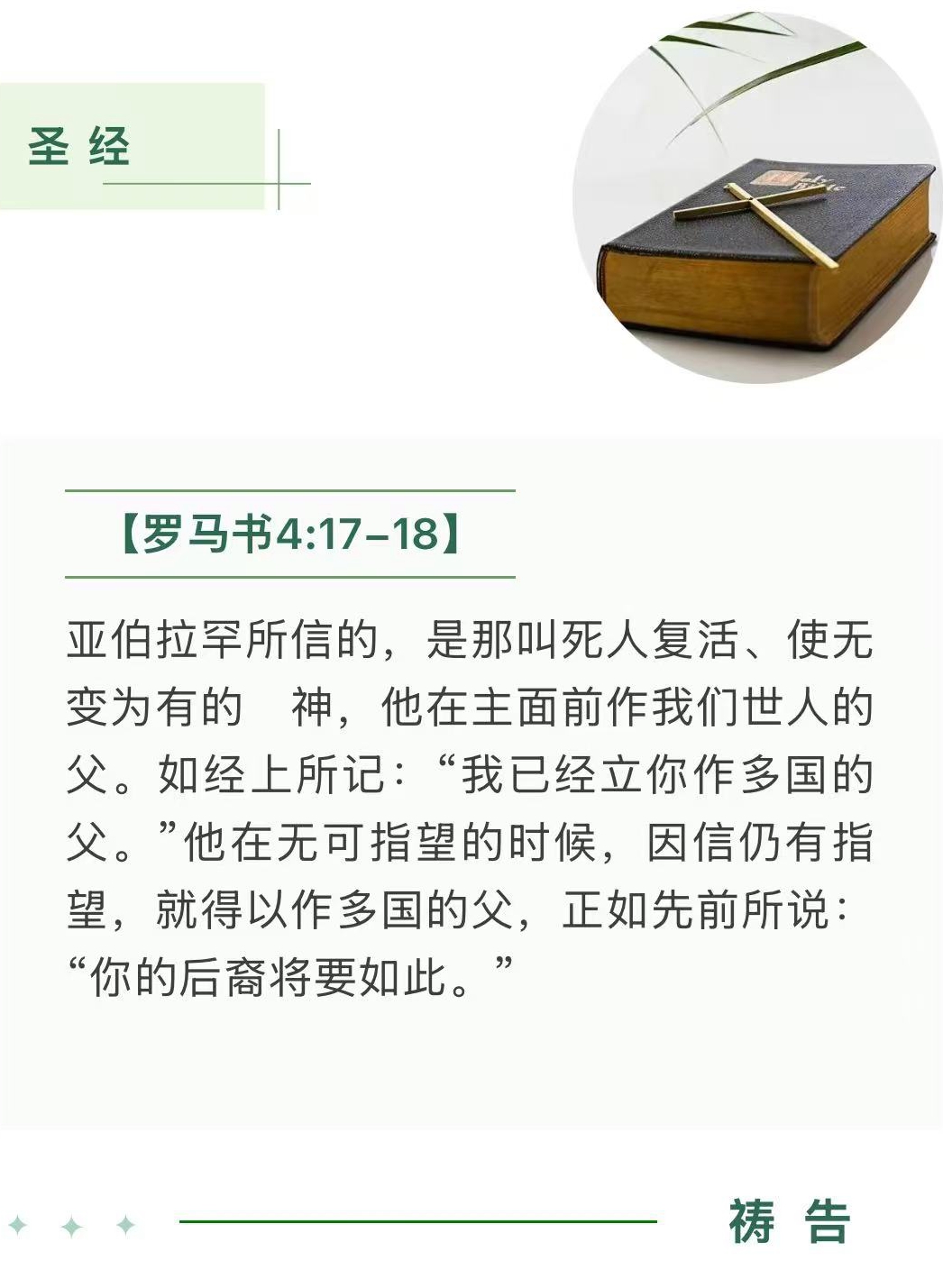 24.jpg