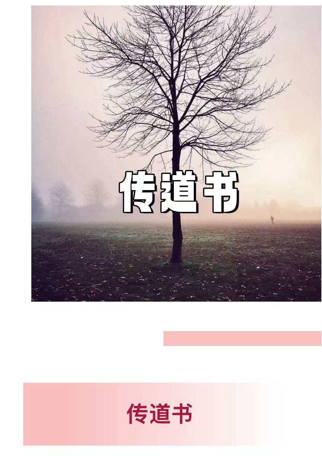 微信图片_20250505204500.jpg