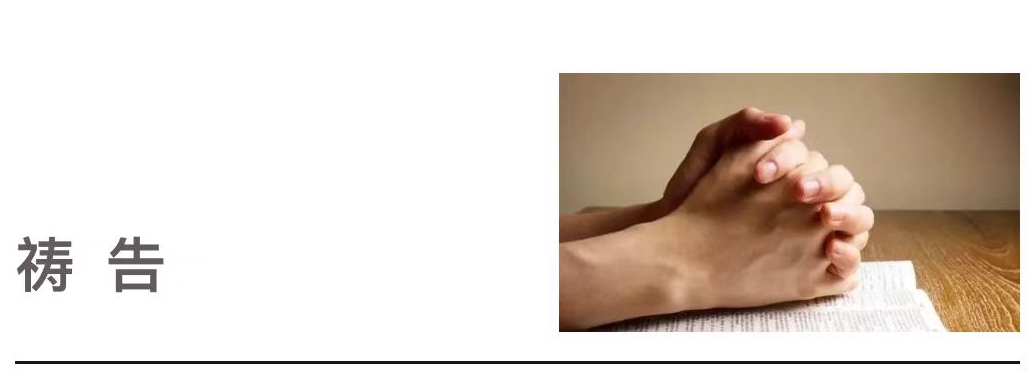 1762396877133663.jpg 4.0.jpg