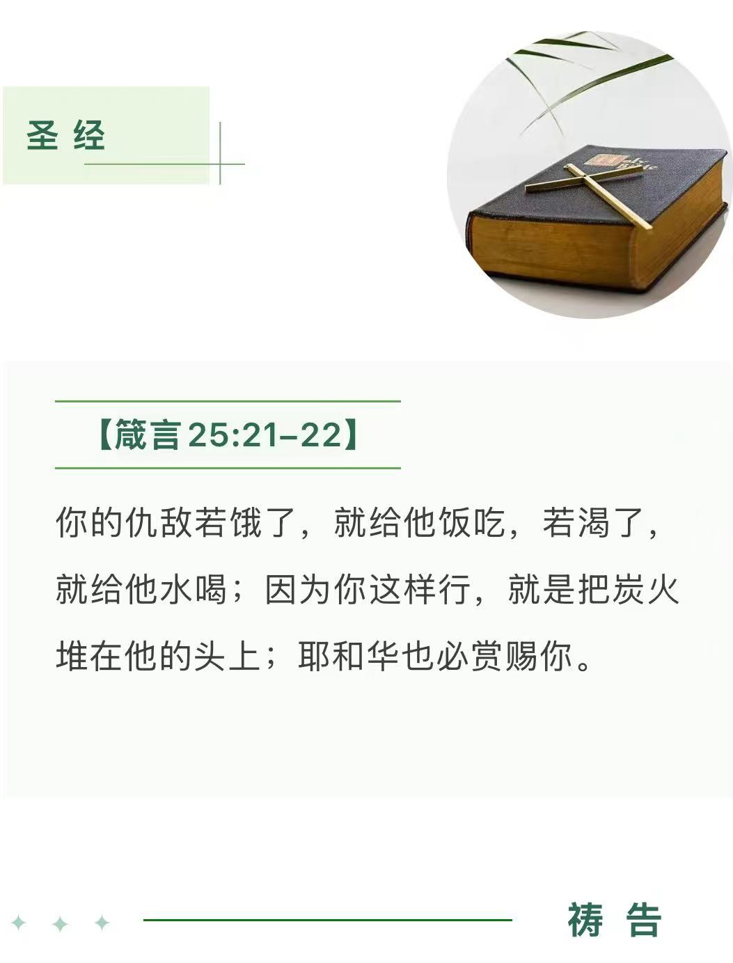 1762915404658107.jpg 9.jpg