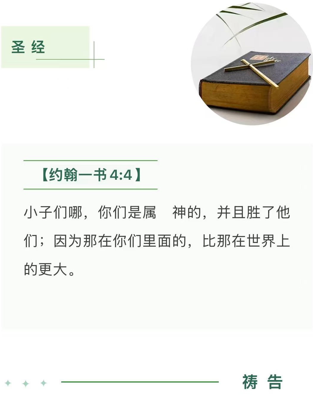 1762915547127197.jpg 10.jpg