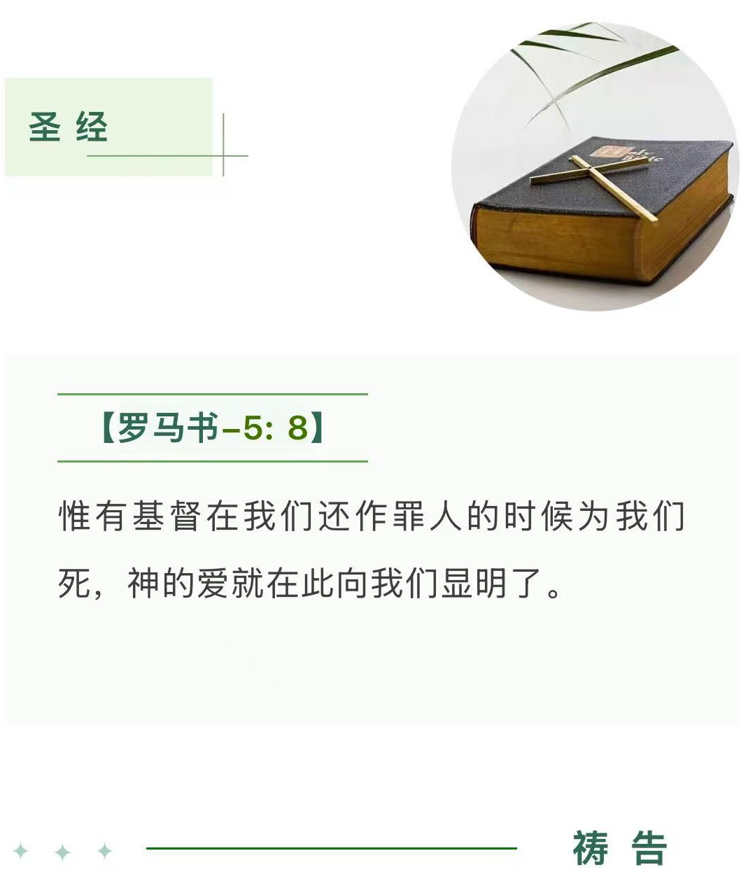 1762915853992848.jpg 12.jpg