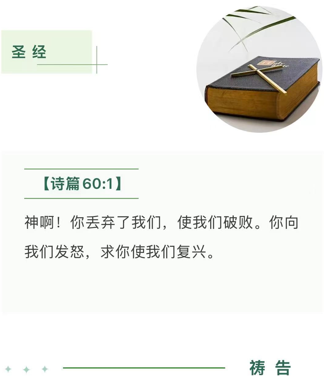 1762926424184433.jpg 15.jpg