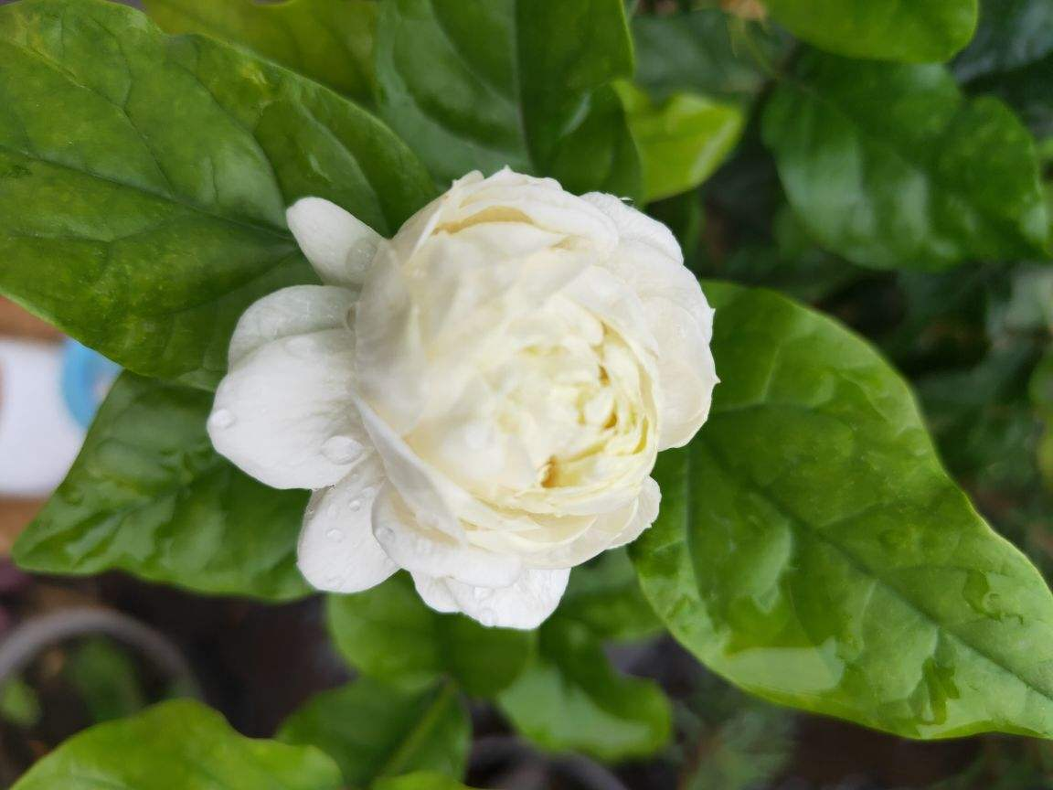 1762926798583293.png 9f148b95795d4c0fa96a799fe06059cf.png