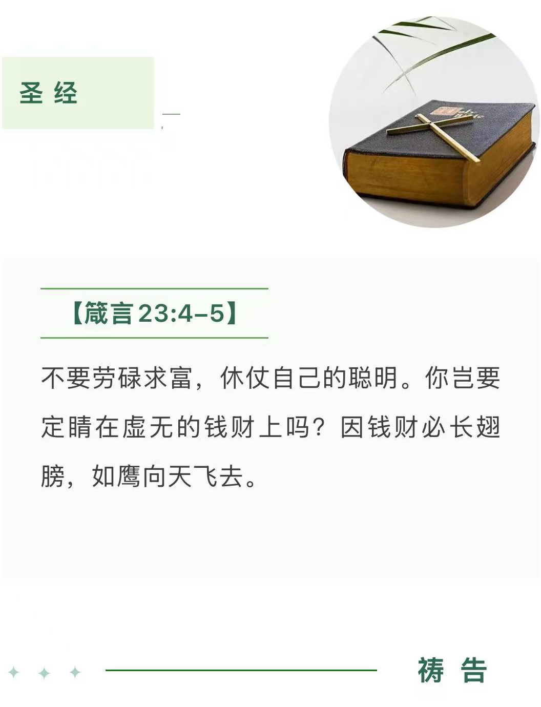 1762926908444424.jpg 17.jpg