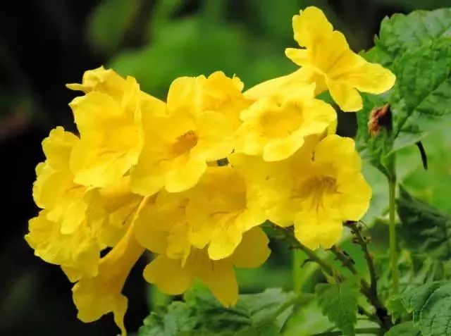 1762926949681116.jpeg 5688a53578a24392805e707cd010ecf0.jpeg