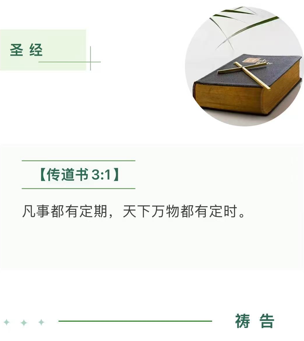 1762927207625497.jpg 18.jpg