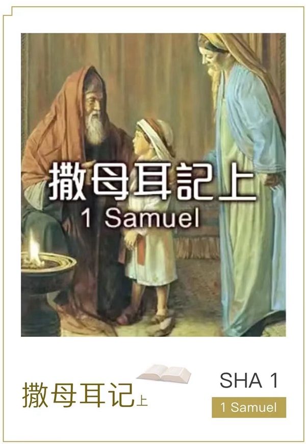 1769867898558034.jpg 撒上.jpg